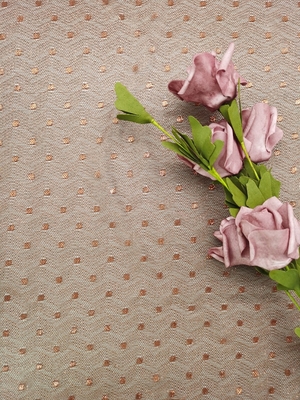 Brown Color Embroidered Lace Fabric Metallic Tulle Lace Light Weight Dot Lace